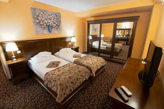 Отель Hotel Dorna Ватра-Дорней Улучшенный двухместный номер с 1 кроватью или 2 отдельными кроватями-1