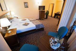Отель Hotel Dorna Ватра-Дорней Улучшенный двухместный номер с 1 кроватью или 2 отдельными кроватями-4