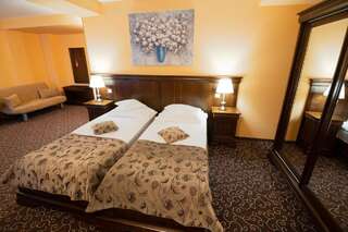 Отель Hotel Dorna Ватра-Дорней Улучшенный двухместный номер с 1 кроватью или 2 отдельными кроватями-5