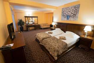 Отель Hotel Dorna Ватра-Дорней Улучшенный двухместный номер с 1 кроватью или 2 отдельными кроватями-9