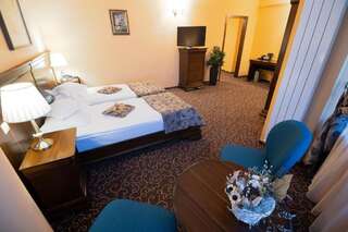 Отель Hotel Dorna Ватра-Дорней Улучшенный двухместный номер с 1 кроватью или 2 отдельными кроватями-14