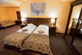 Отель Hotel Dorna Ватра-Дорней Улучшенный двухместный номер с 1 кроватью или 2 отдельными кроватями-19